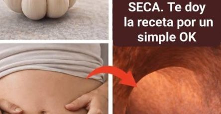 641628189 2645520249163452 1476717991753874923 n