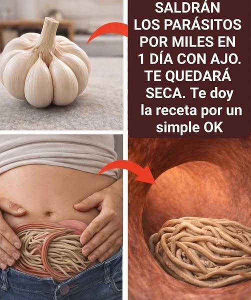 641628189 2645520249163452 1476717991753874923 n