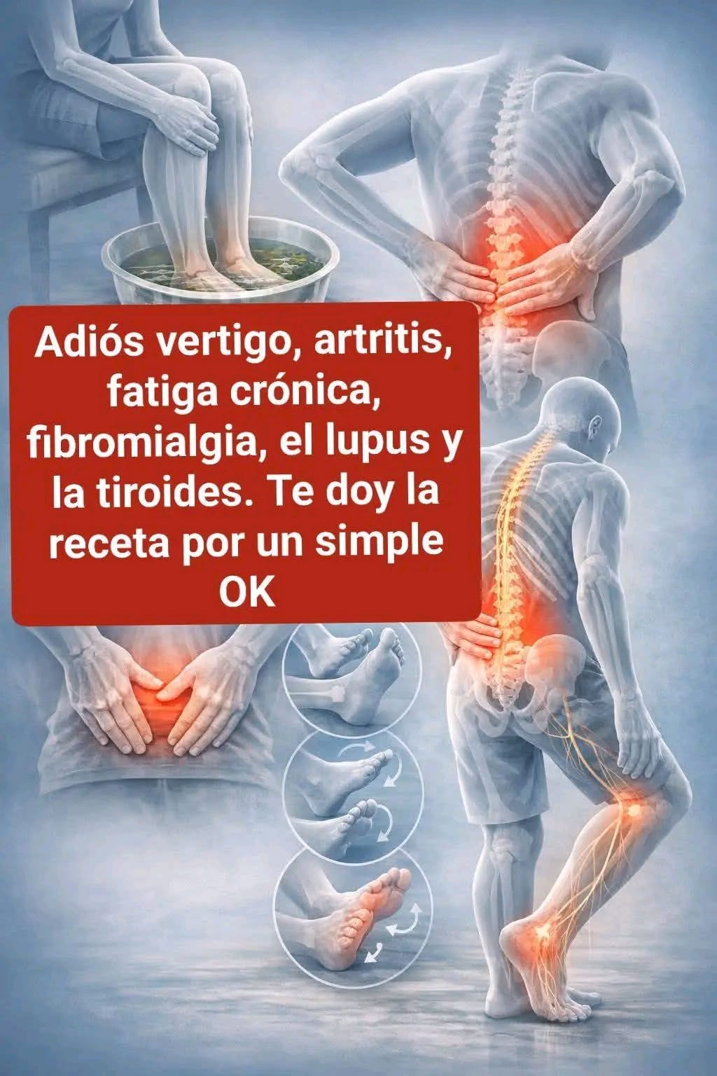 641670687 1456000739257380 4710713495448207729 n