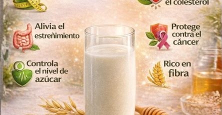 642693388 1550474293274517 3591589070000985004 n