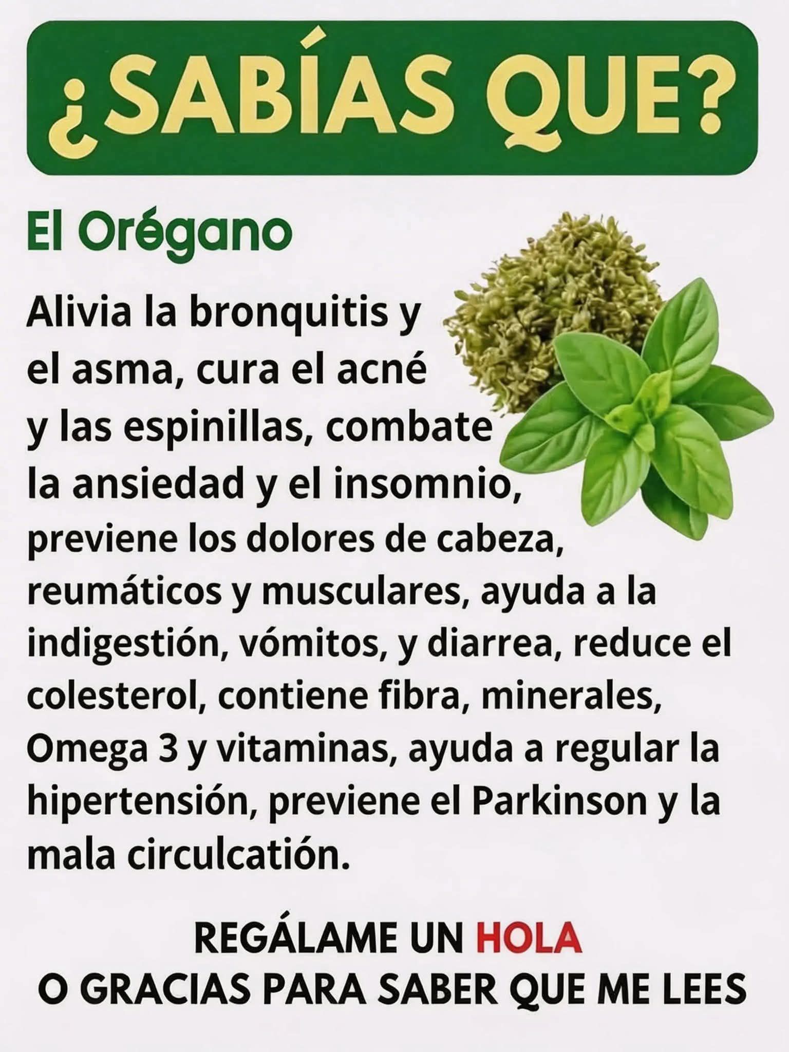 642755104 1470238288230512 6433532077610486073 n