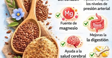 643395928 757852127400052 3153767006097292688 n