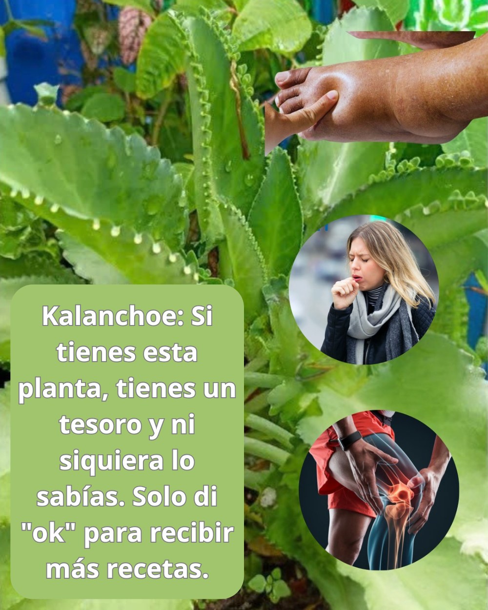 643418043 1552832583038688 3030256927432284586 n