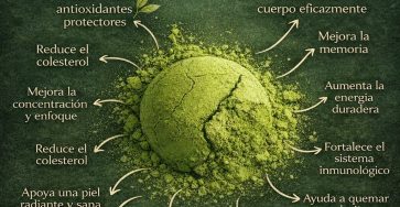 643896817 758519167333348 6158946189371556516 n