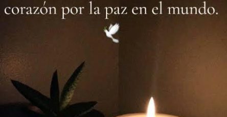 644370110 122127504555047448 8150248277277593684 n