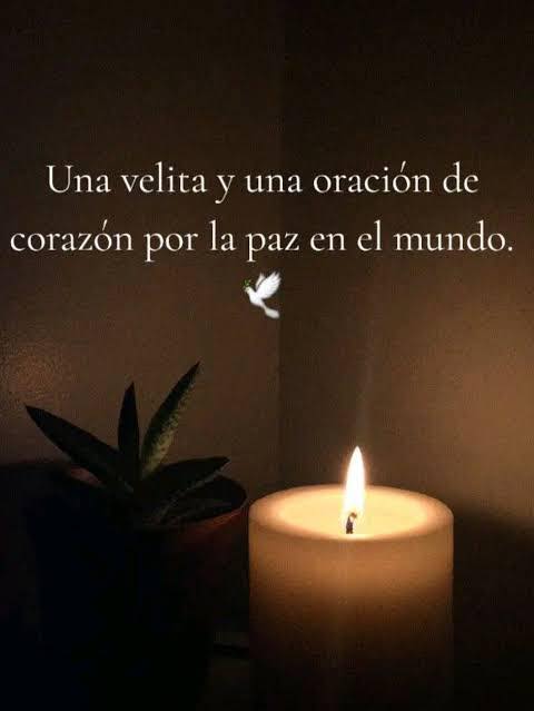 644370110 122127504555047448 8150248277277593684 n