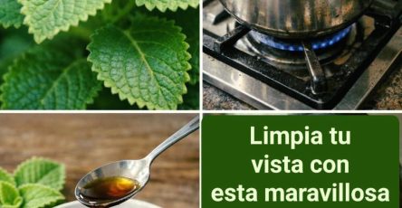 644373863 1636082627821364 6102982862807107498 n