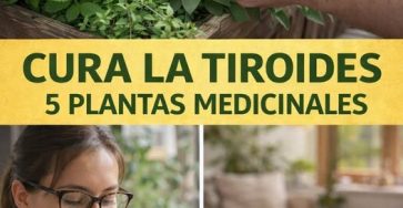 646369246 902878436059808 3711604143019634701 n