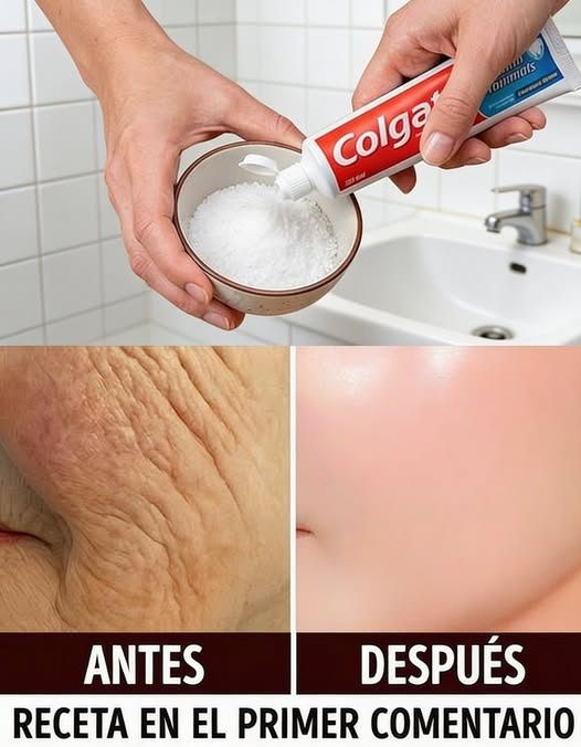 646498965 930336286042718 3724779950431808426 n