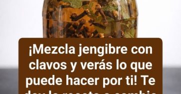 646787577 2321023894969778 1931013062226576357 n