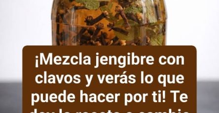 646787577 2321023894969778 1931013062226576357 n