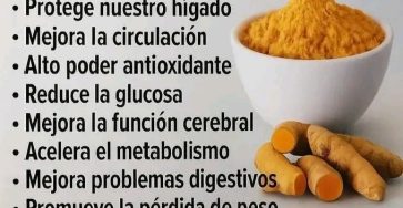 646860933 1681682613211080 5206508792631513494 n