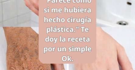 647010352 1560435408945072 2528303530306643517 n