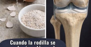 647556056 122157658460943773 5969318980823884652 n