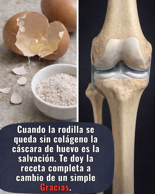 647556056 122157658460943773 5969318980823884652 n