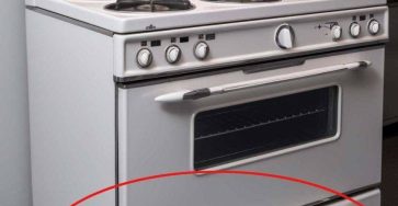 647709438 1478177360492289 7932143070706985070 n