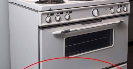 647709438 1478177360492289 7932143070706985070 n