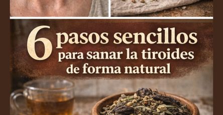 648297771 122155575326973955 6467215929501942552 n