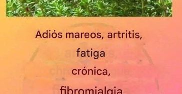 648477593 1870998610242425 1007889247129489693 n