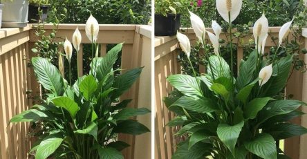 648520004 948978697476642 6176093535929584889 n