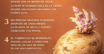 649101844 765276226657642 203542703785332501 n (1)