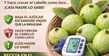 649114357 1312867900894448 5963400791511468053 n