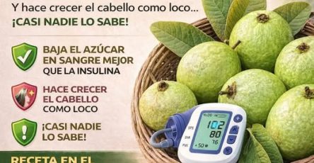 649114357 1312867900894448 5963400791511468053 n