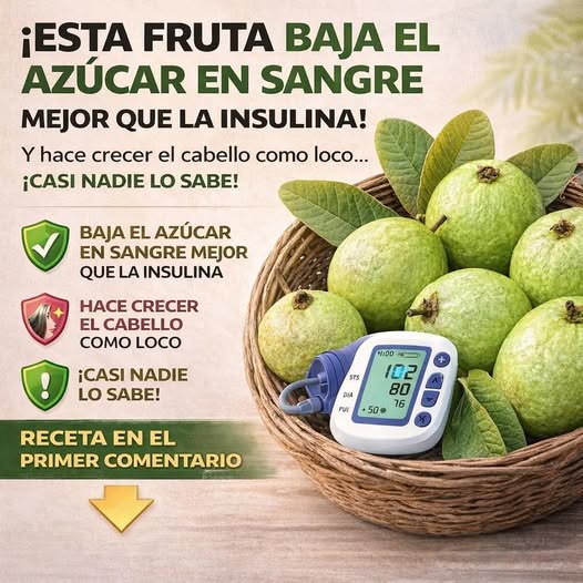 649114357 1312867900894448 5963400791511468053 n