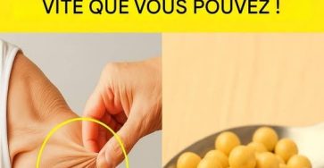 649140811 1310636587789980 166510362790184938 n