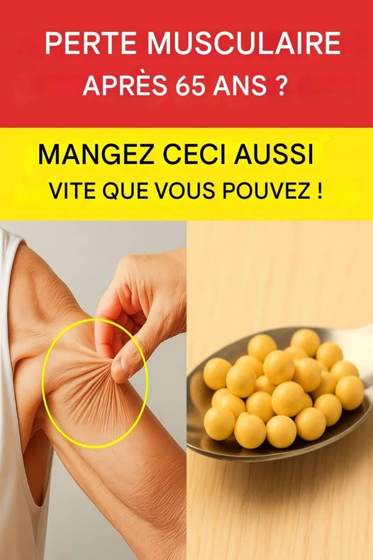 649140811 1310636587789980 166510362790184938 n