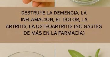 649220122 122108307429247977 1923016712784145388 n