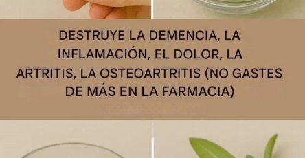 649220122 122108307429247977 1923016712784145388 n