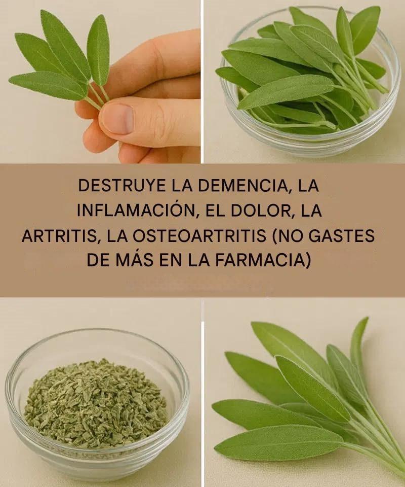 649220122 122108307429247977 1923016712784145388 n