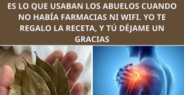 649500939 122158544816943773 5455244346181745151 n