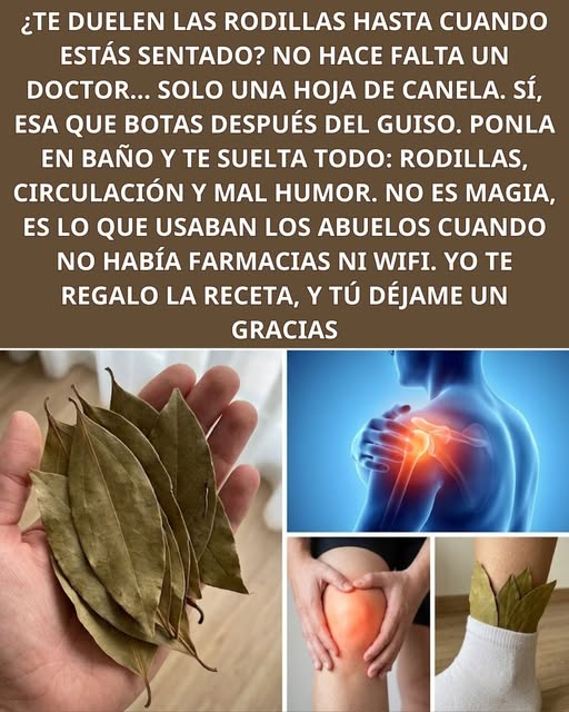 649500939 122158544816943773 5455244346181745151 n