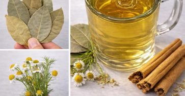 649670128 959779113380130 4442253338116280218 n