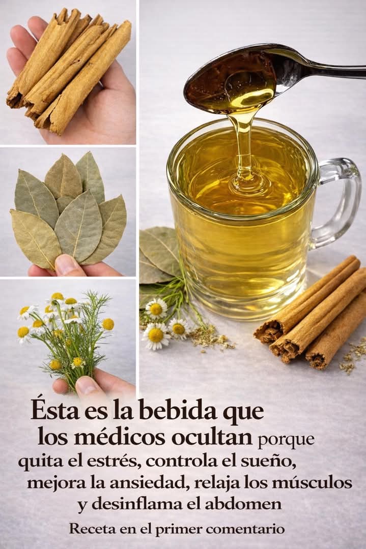 649670128 959779113380130 4442253338116280218 n