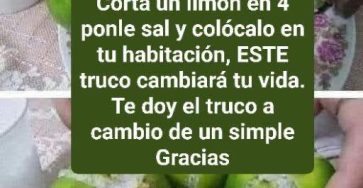 649781733 1265161325560567 8461979928697449941 n