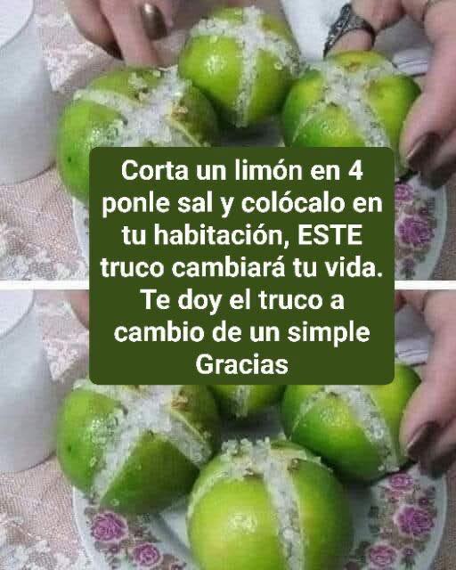 649781733 1265161325560567 8461979928697449941 n