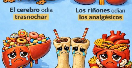 649868528 765272199991378 8414359364379468416 n