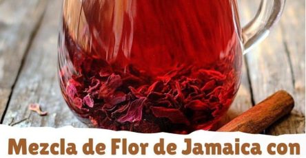 649926248 1301521021869320 5956087047334761644 n