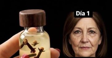 650138710 955723423802920 7465079899944032944 n