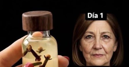 650138710 955723423802920 7465079899944032944 n