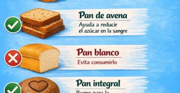 650639969 768195616365703 5899854442198708322 n