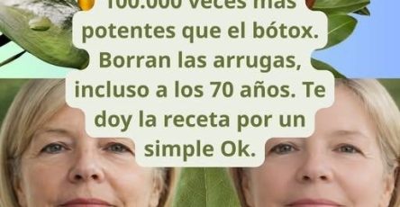 650731513 1851435922208544 891741750337914960 n