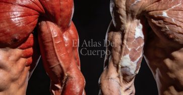 650814020 122241513146105001 6603135256676298353 n