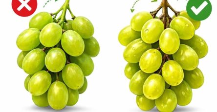 650937313 765294196655845 2940990444134799459 n