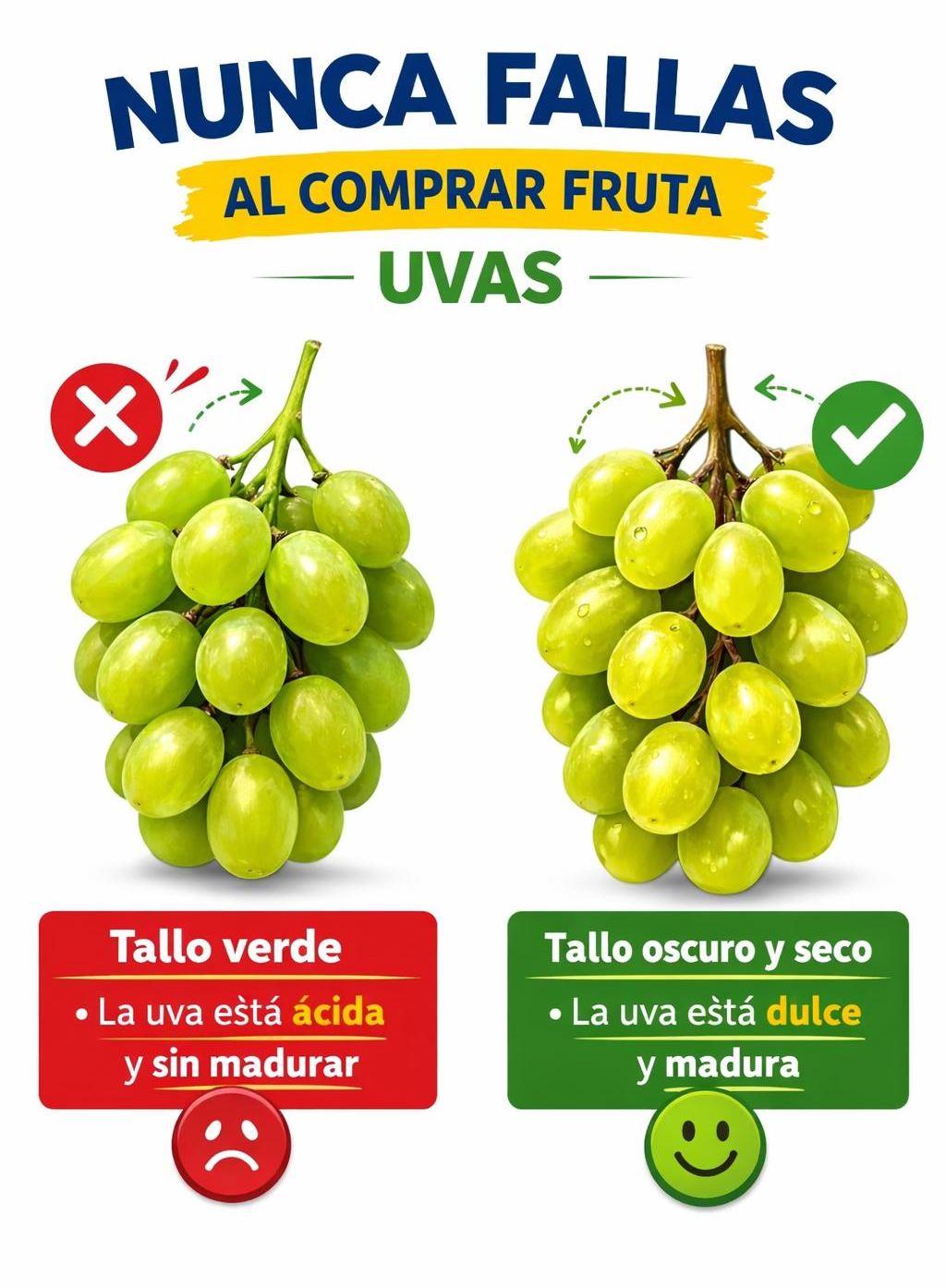 650937313 765294196655845 2940990444134799459 n