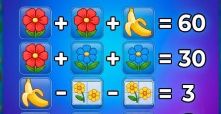 651020138 122156037398701418 4123554536006687005 n