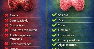 651126479 767550966430168 7375210425401583864 n